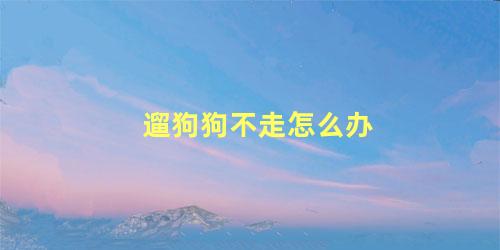 遛狗狗不走怎么办