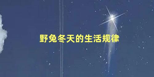 野兔冬天的生活规律