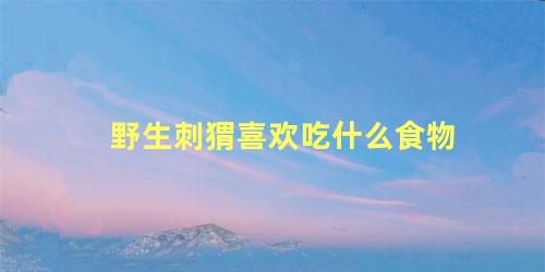 野生刺猬喜欢吃什么食物