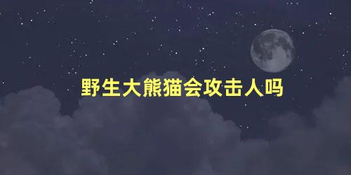 野生大熊猫会攻击人吗