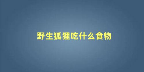 野生狐狸吃什么食物
