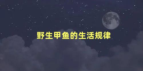 野生甲鱼的生活规律