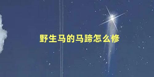 野生马的马蹄怎么修