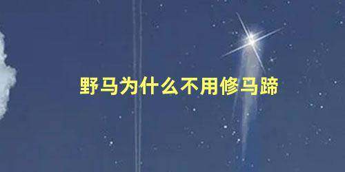 野马为什么不用修马蹄