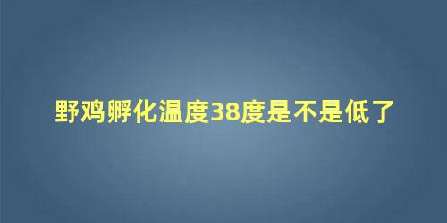 野鸡孵化温度38度是不是低了