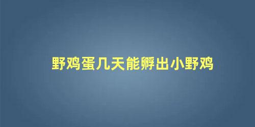 野鸡蛋几天能孵出小野鸡