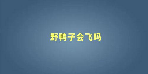 野鸭子会飞吗