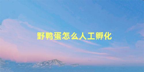 野鸭蛋怎么人工孵化