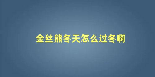 金丝熊冬天怎么过冬啊