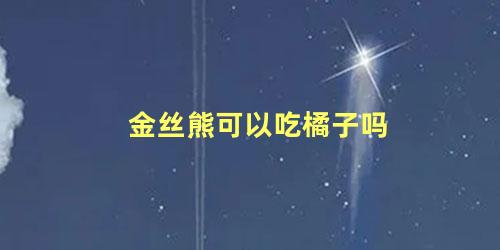 金丝熊可以吃橘子吗