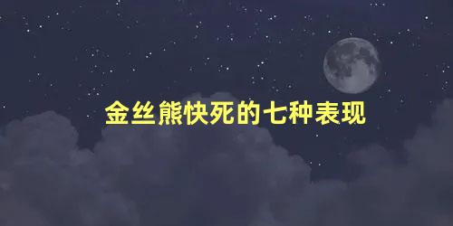 金丝熊快死的七种表现