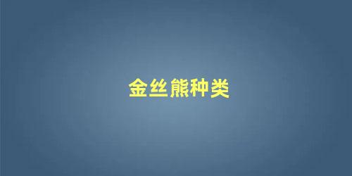 金丝熊种类