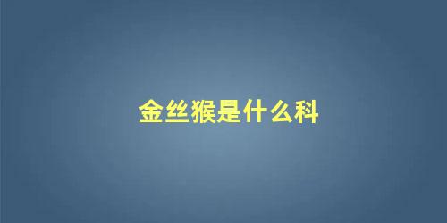 金丝猴是什么科