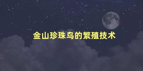 金山珍珠鸟的繁殖技术