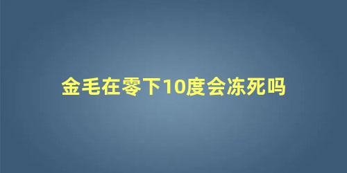 金毛在零下10度会冻死吗