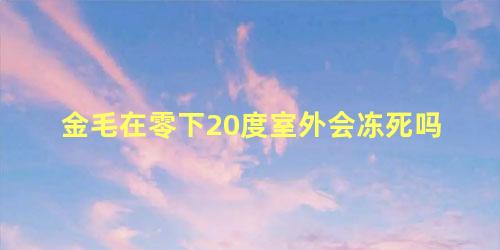 金毛在零下20度室外会冻死吗