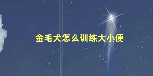 金毛犬怎么训练大小便