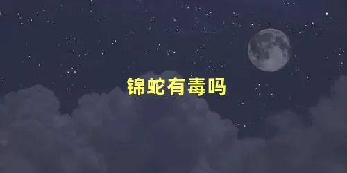 锦蛇有毒吗