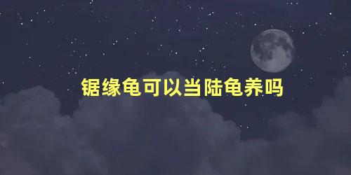 锯缘龟可以当陆龟养吗