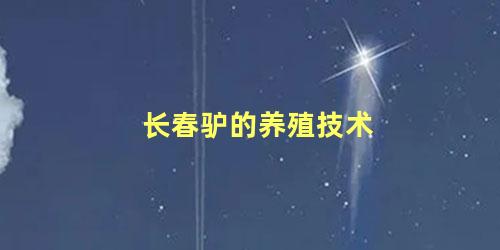 长春驴的养殖技术