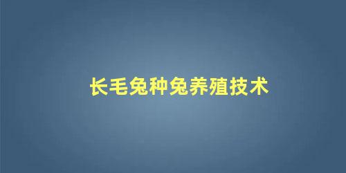 长毛兔种兔养殖技术