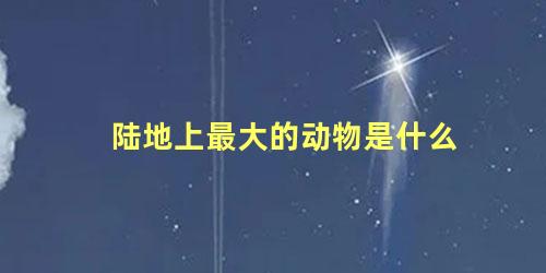 陆地上最大的动物是什么