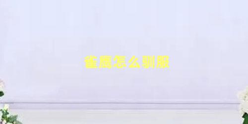 雀鹰怎么驯服