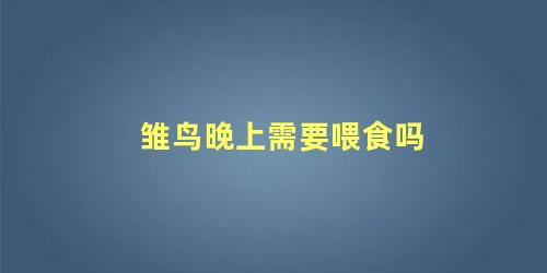 雏鸟晚上需要喂食吗