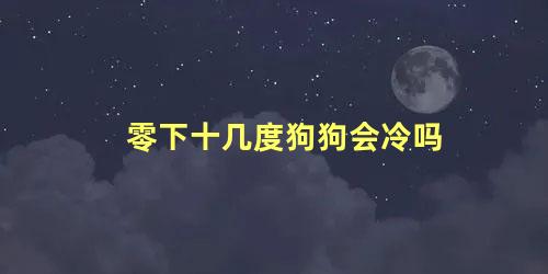 零下十几度狗狗会冷吗