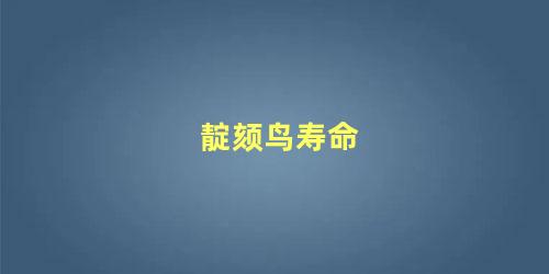 靛颏鸟寿命