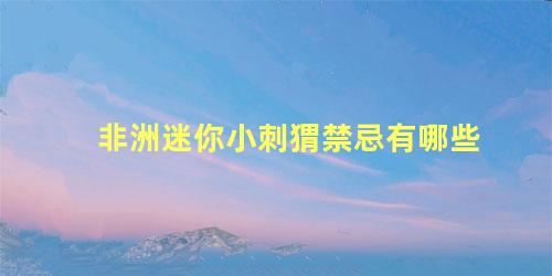 非洲迷你小刺猬禁忌有哪些