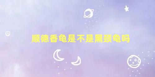 顺德香龟是不是黑颈龟吗