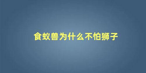食蚁兽为什么不怕狮子