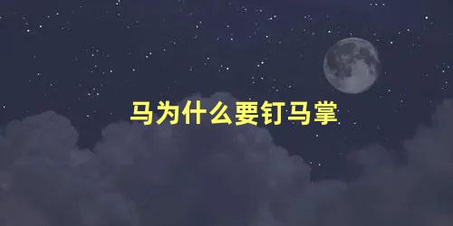 马为什么要钉马掌