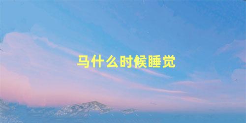 马什么时候睡觉
