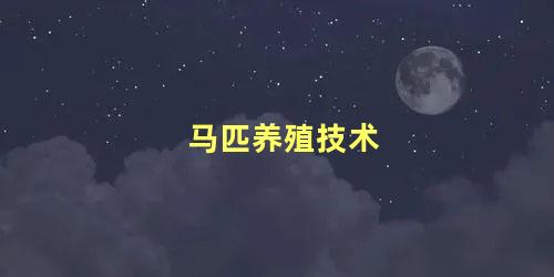 马匹养殖技术