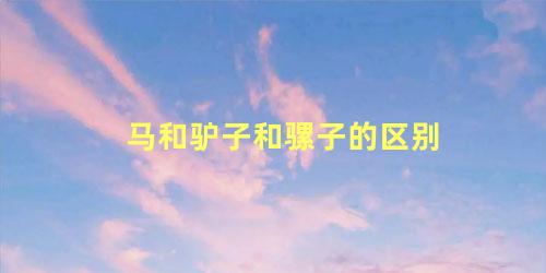 马和驴子和骡子的区别