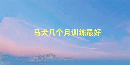 马犬几个月训练最好