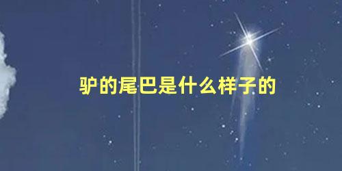 驴的尾巴是什么样子的