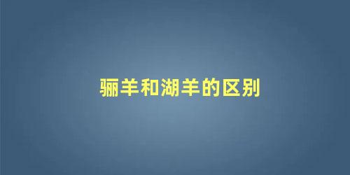 骊羊和湖羊的区别