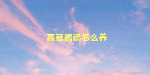 高冠鹦鹉怎么养