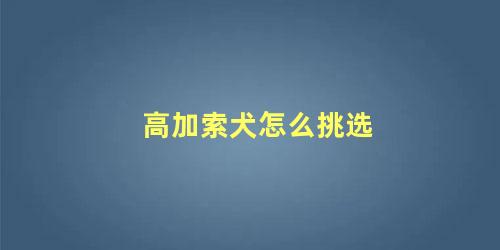 高加索犬怎么挑选