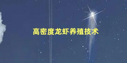 高密度龙虾养殖技术