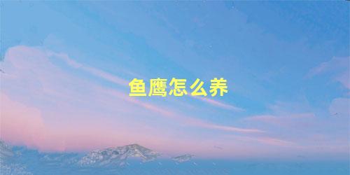 鱼鹰怎么养