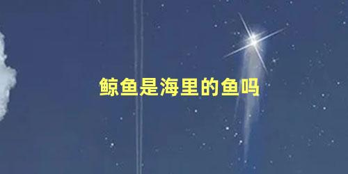 鲸鱼是海里的鱼吗