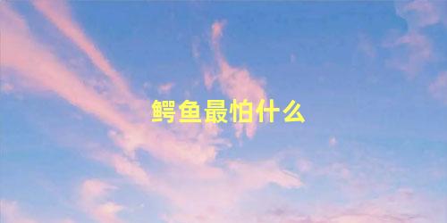 鳄鱼最怕什么