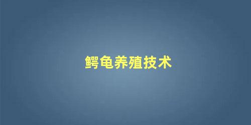鳄龟养殖技术