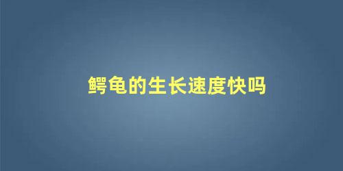 鳄龟的生长速度快吗