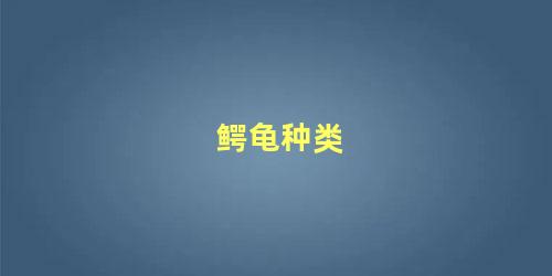 鳄龟种类