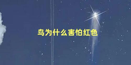 鸟为什么害怕红色